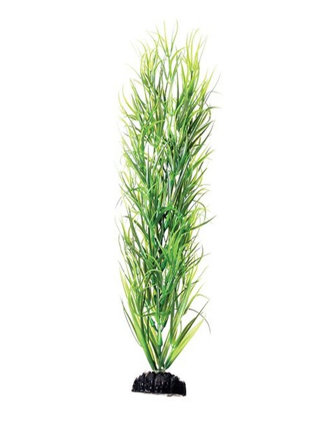 Underwater Treasures Green Diandra - 12"